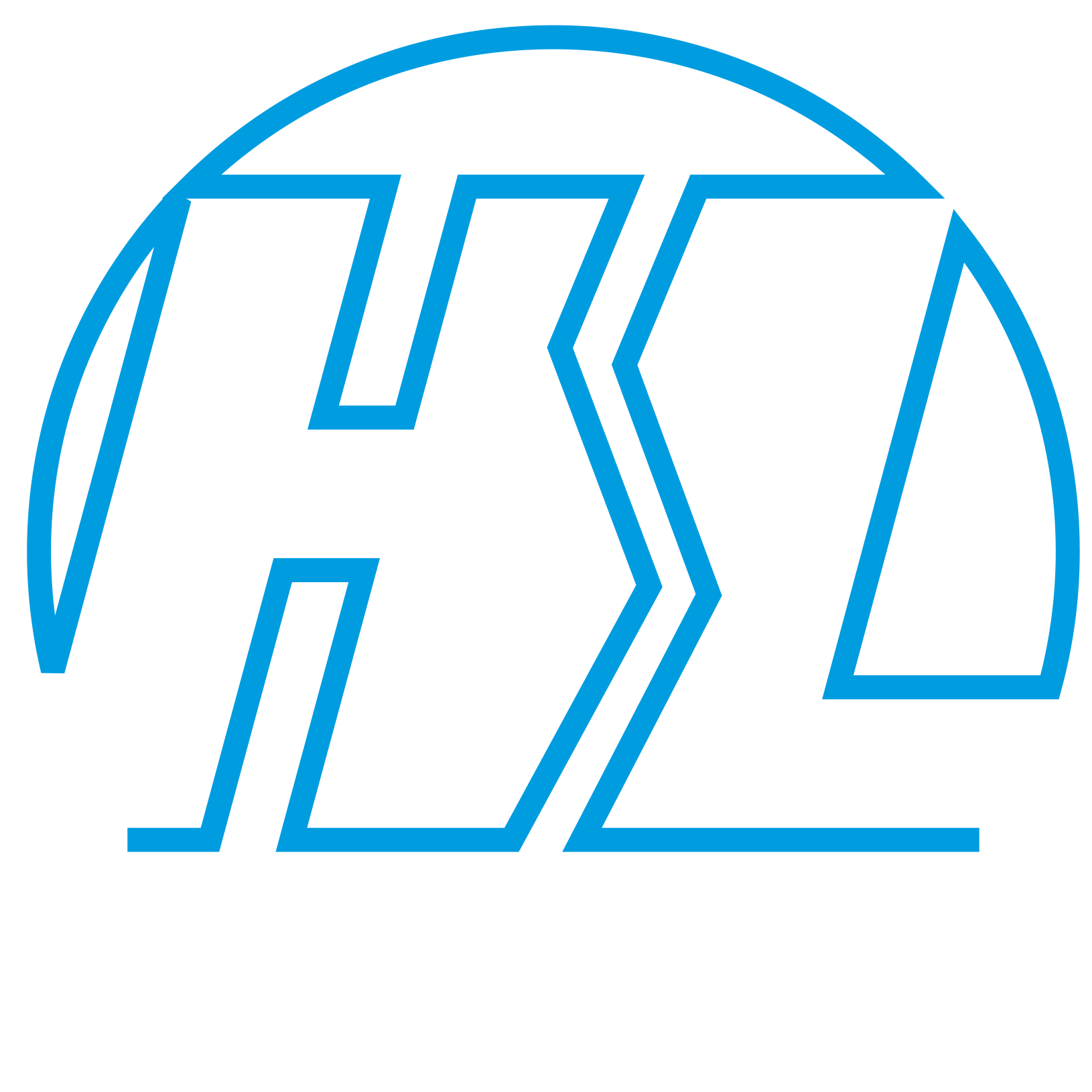 Hans Luy Transporte